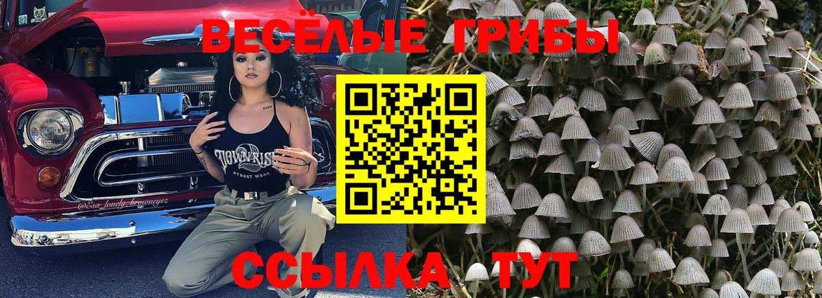 Псилоцибиновые грибы мицелий Рославль